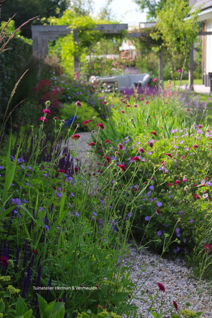 a garden filled with lots of flowers next to a house