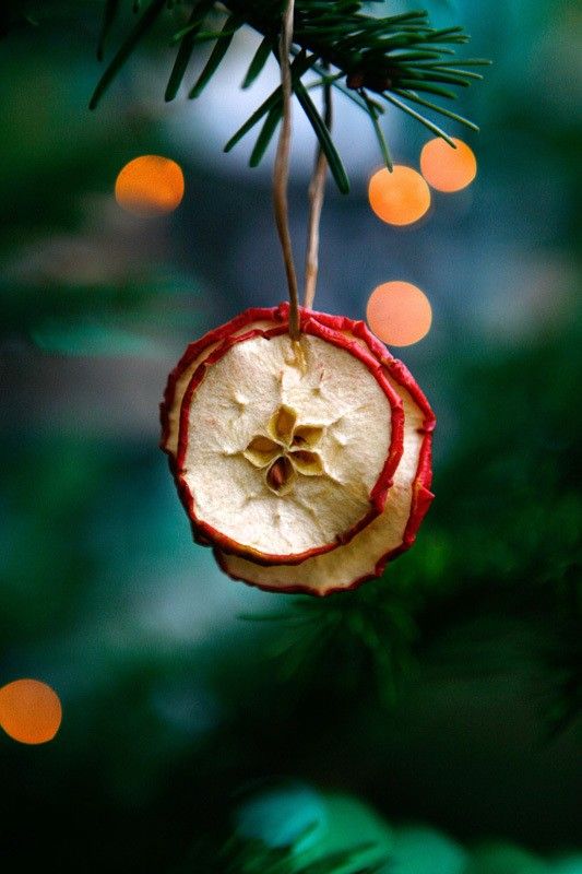 an ornament hanging from a christmas tree