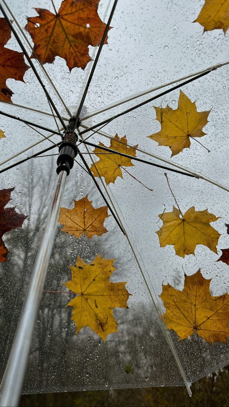 an umbrella with yellow and red leaves hanging from it's handle in the rain