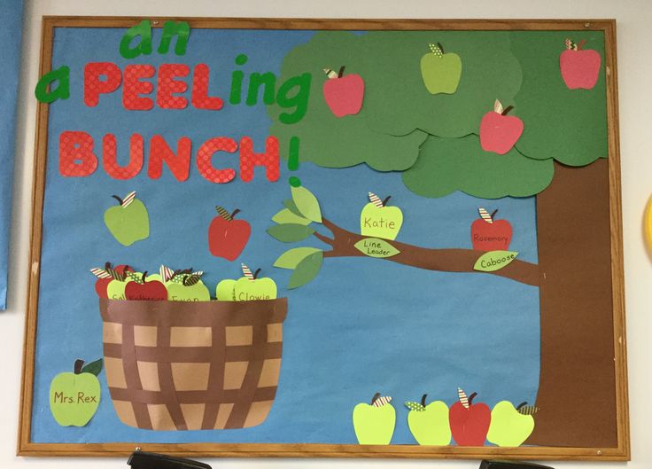 a bulletin board with apples and an apple tree in the basket that says, i am a peeling bunch