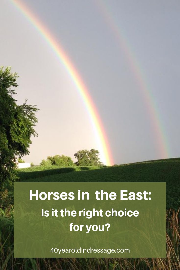 two rainbows in the sky over a green field and trees with text that reads horses in the east is it the right choice for you?