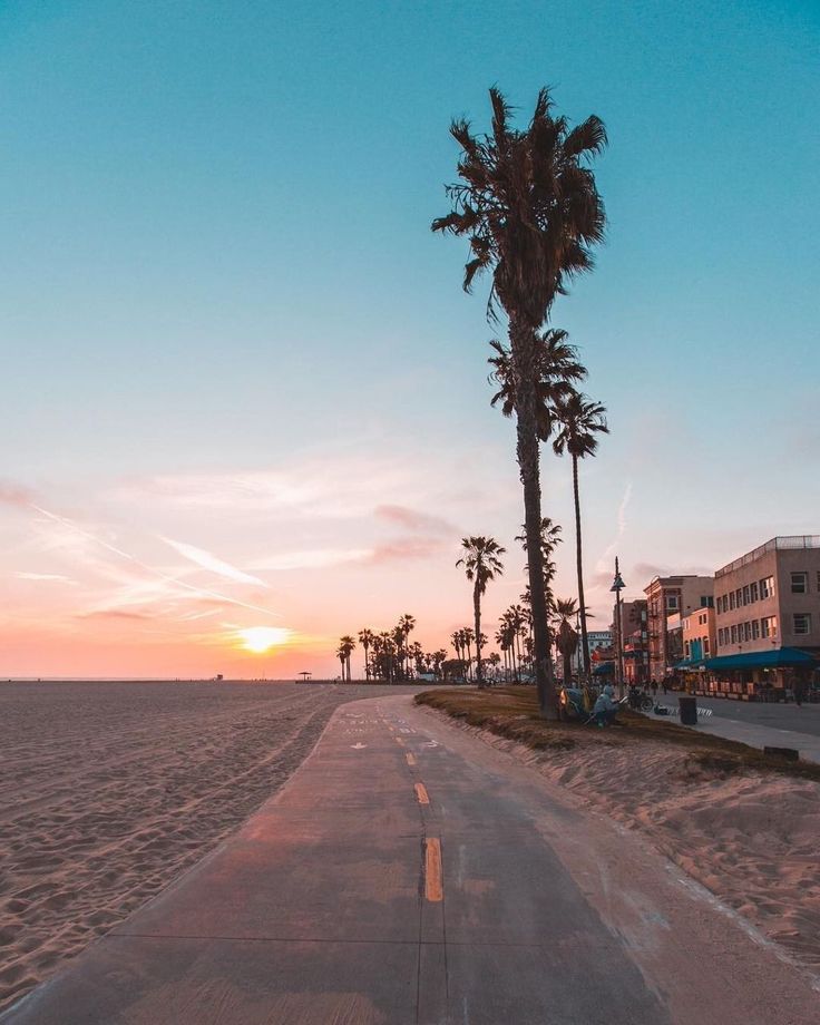 palm trees line the beach as the sun sets over the ocean and buildings in the distance