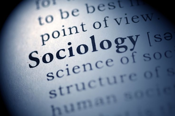 the word sociology is highlighted in a dictionary