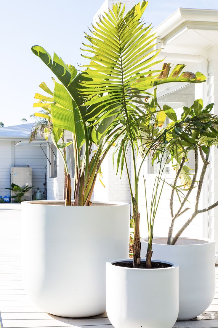 two large white planters sitting on top of a wooden deck next to a house