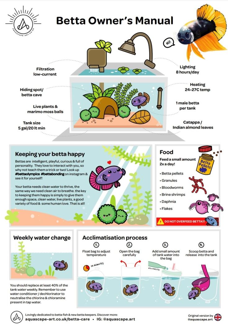 an info sheet describing the different types of plants and animals in their habitat, including fish