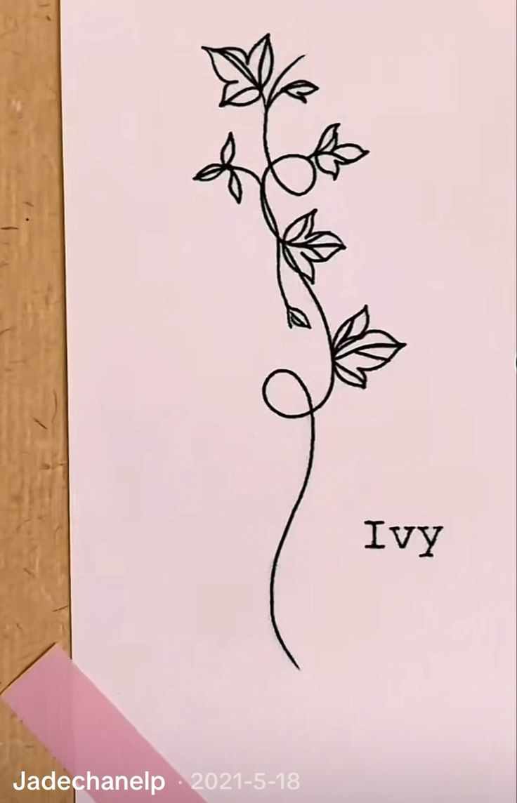 a drawing of a flower on a piece of paper with the word ivy written below it