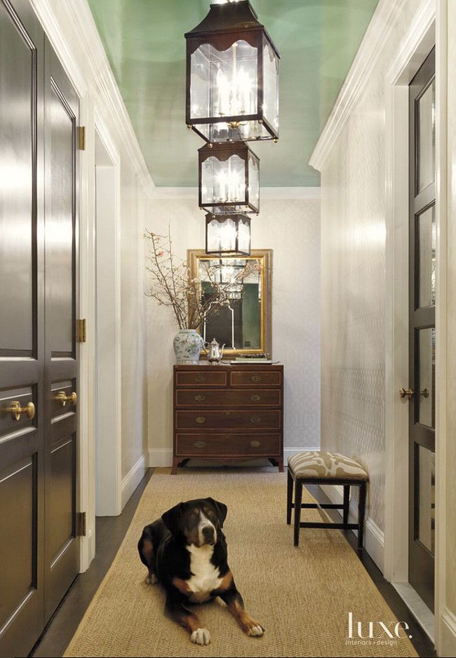 a black and white dog laying on the floor in front of a hallway with lights