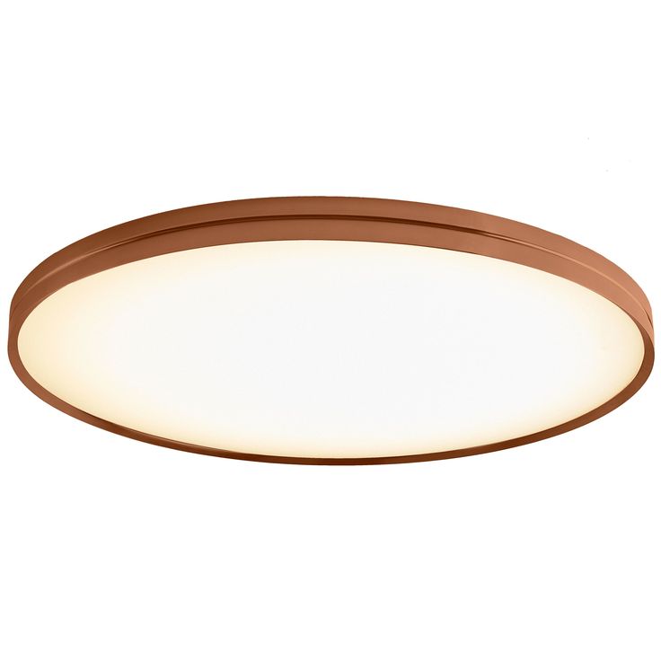 a round light fixture on a white background