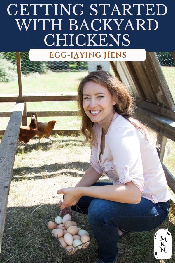 a woman kneeling down with eggs in front of her and the words getting started with backyard chickens