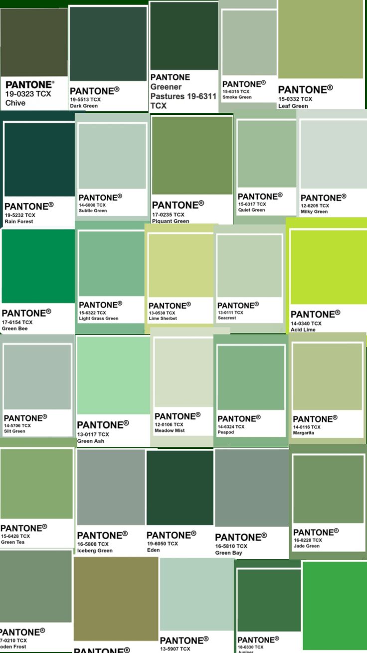 pantone's color chart with all the colors in each section, including green