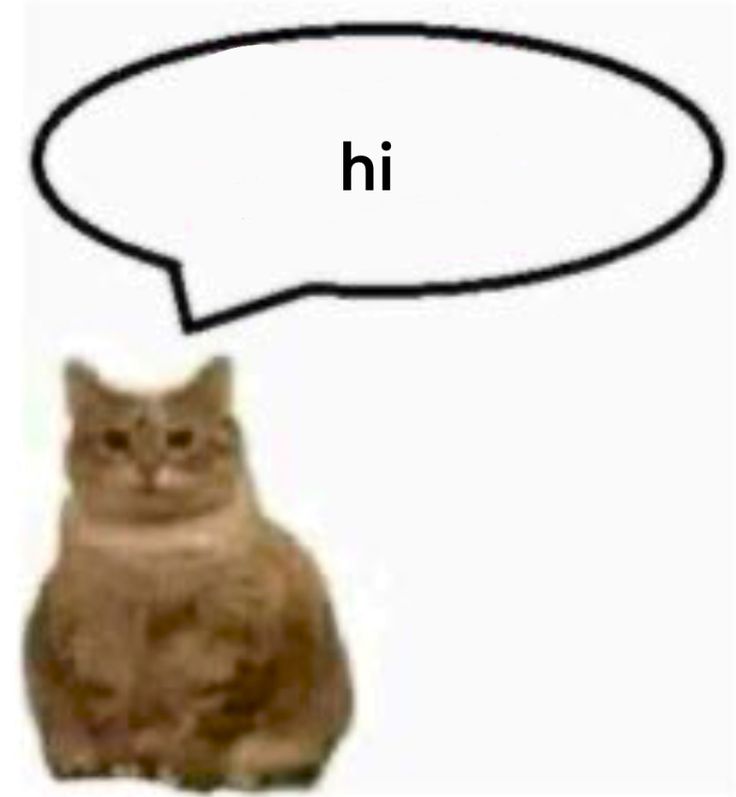 a cat sitting in front of a speech bubble with the caption'i don't know what this is