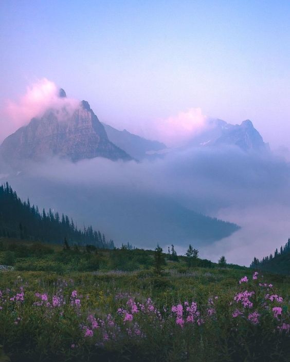 the mountains are covered in clouds and pink flowers