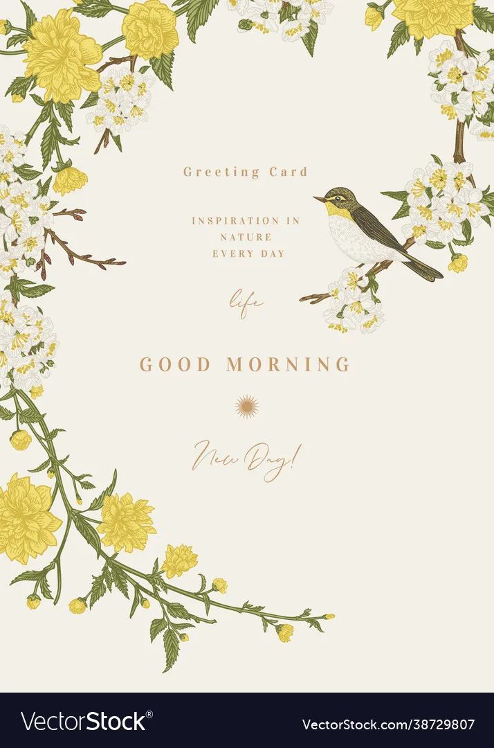 a greeting card with flowers and birds in the center on a white background for good morning