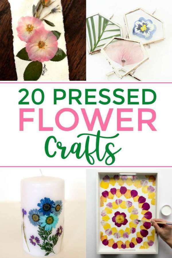 flowers are shown with the words 20 pressed flower crafts on it and below them is an image