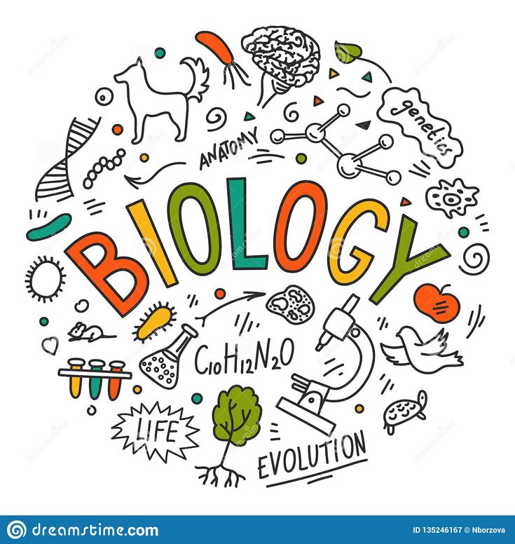 the word biology surrounded by hand drawn doodles and other things on a white background