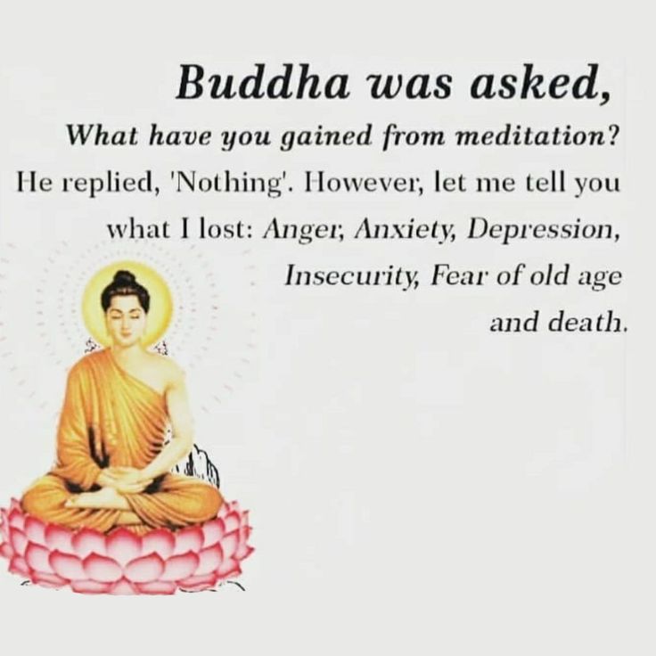 buddha was asked, what have you gathered from meditation?