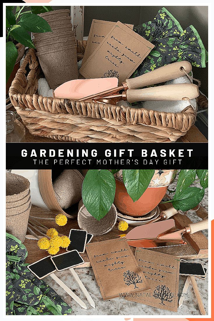 Christmas Gardening Gifts - It is over. You don't have to look for it anymore. Just get it from here by clicking on the link. Gardening Gift Basket, Diy Seed Packets, Gardner Gifts, Fundraiser Baskets, Gardening Gift Baskets, Spring Gardening, Garden Basket, Spring Birthday, Gardening Gift