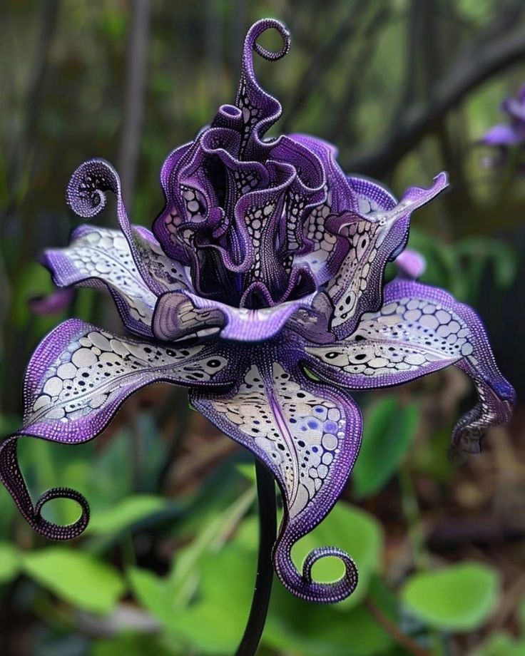 a purple and white flower with swirls on it