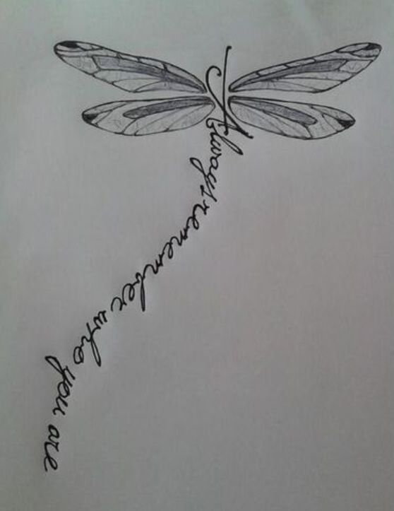 a drawing of a dragonfly with words written on it