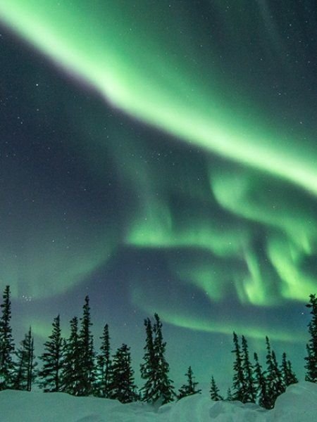 the aurora bore is seen in the sky above some snow covered trees and evergreens