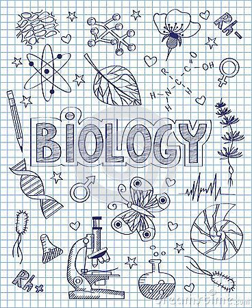 the word biology surrounded by hand drawn doodles