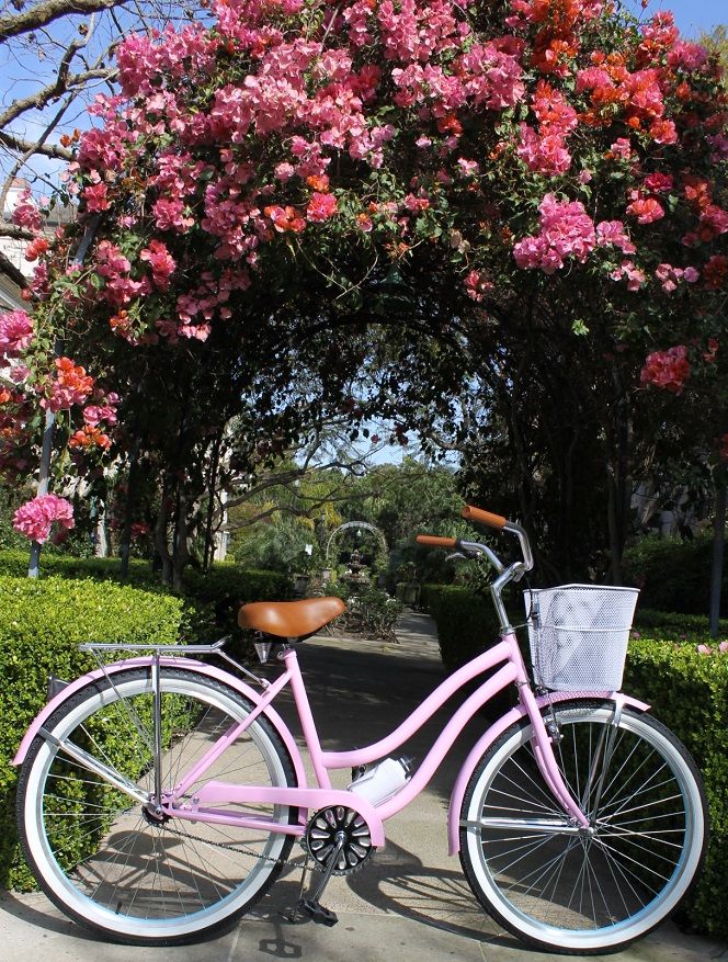 a pink bicycle parked in front of a tree with flowers on it's branches