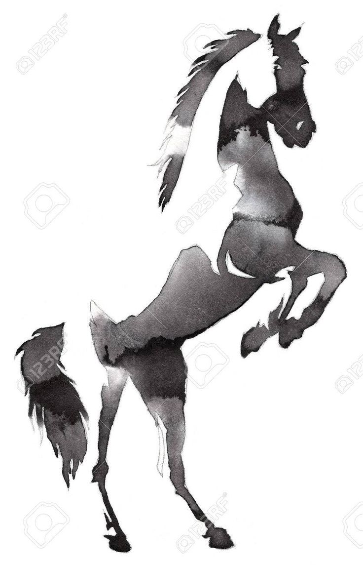 an ink drawing of a horse with feathers on it's back legs and tail