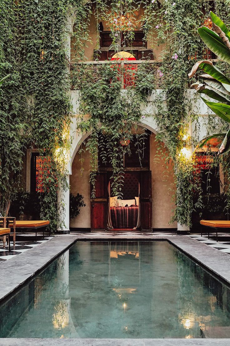 an indoor swimming pool surrounded by greenery and potted plants with chairs around it