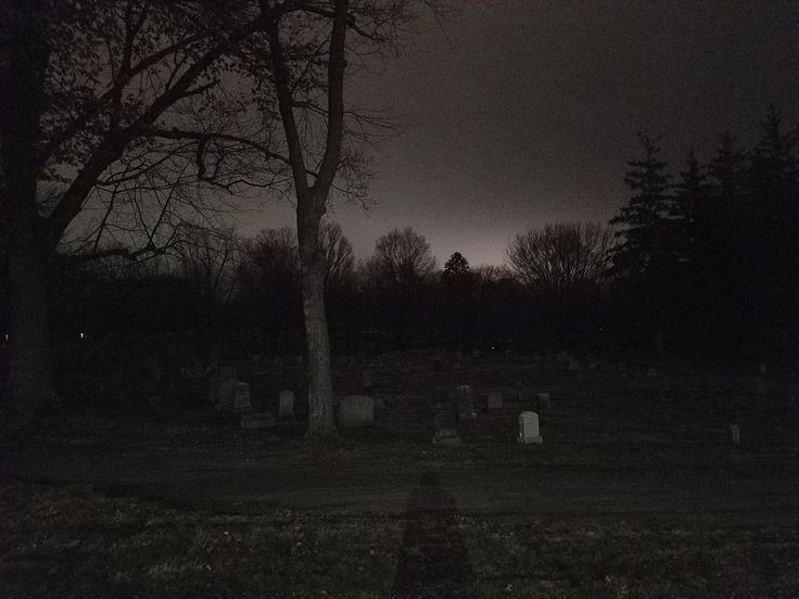 a cemetery at night with the moon in the distance and trees on the other side