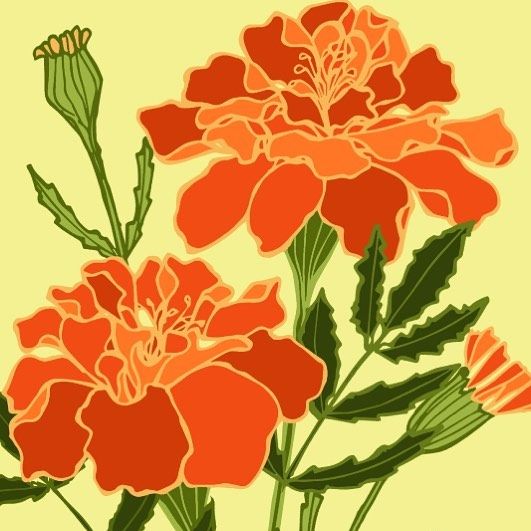 an orange flower with green leaves on a yellow background