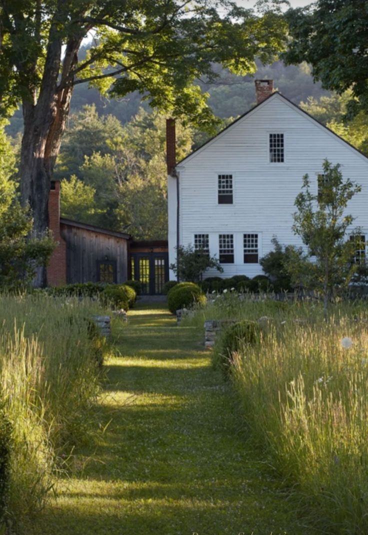 a white house surrounded by tall grass and trees in front of the house is a path that leads up to it