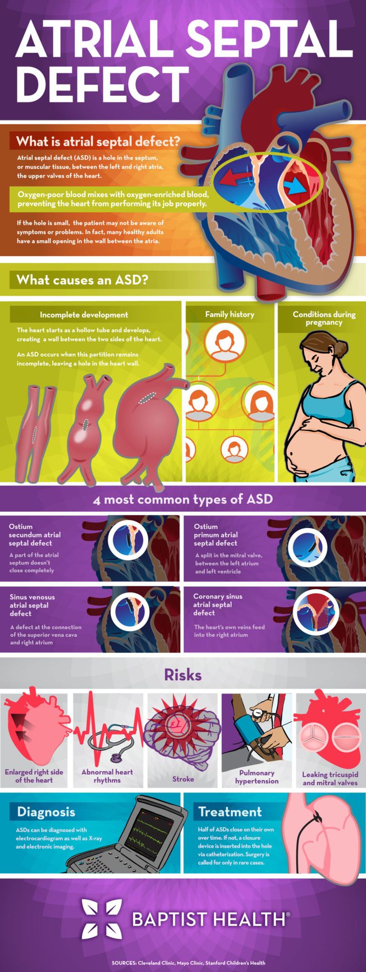 the anatomy of the human heart and its functions infographicly displayed in this poster