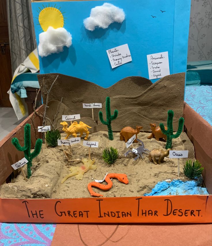 Desert Shoe Box Project, Desert Learning Activities, Sonoran Desert Diorama, Kids Habitat Project Ideas, Shoe Box Diorama Desert, Desertification Projects, Desert Diarama Ideas, Desert Habitat Diorama, Desert Biome Shoebox Project