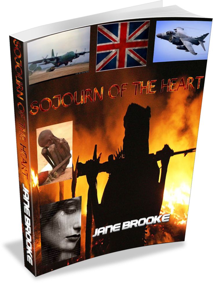 the book cover is shown with pictures of planes