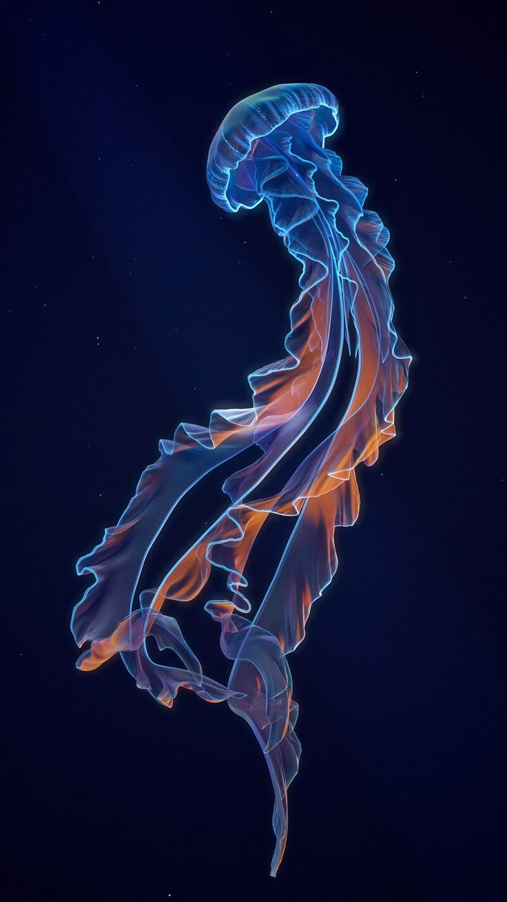 a jellyfish in the deep blue water