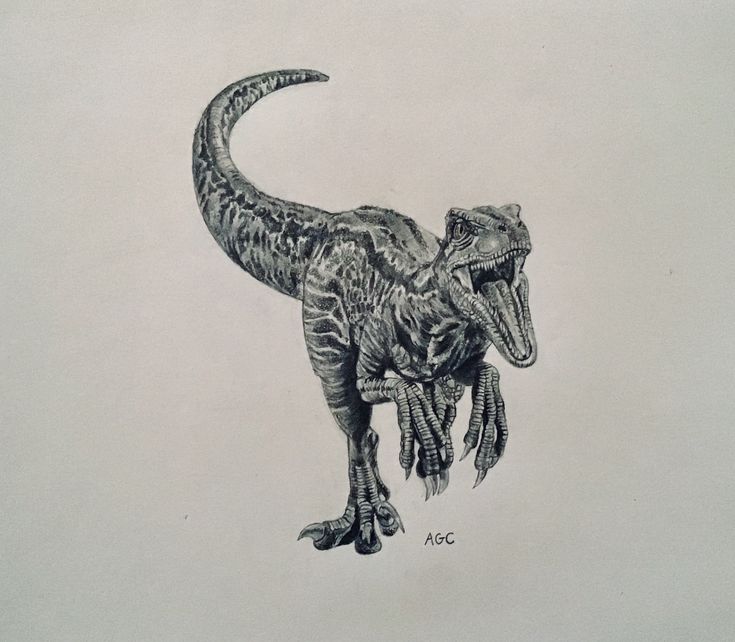 a drawing of a dinosaur with its mouth open