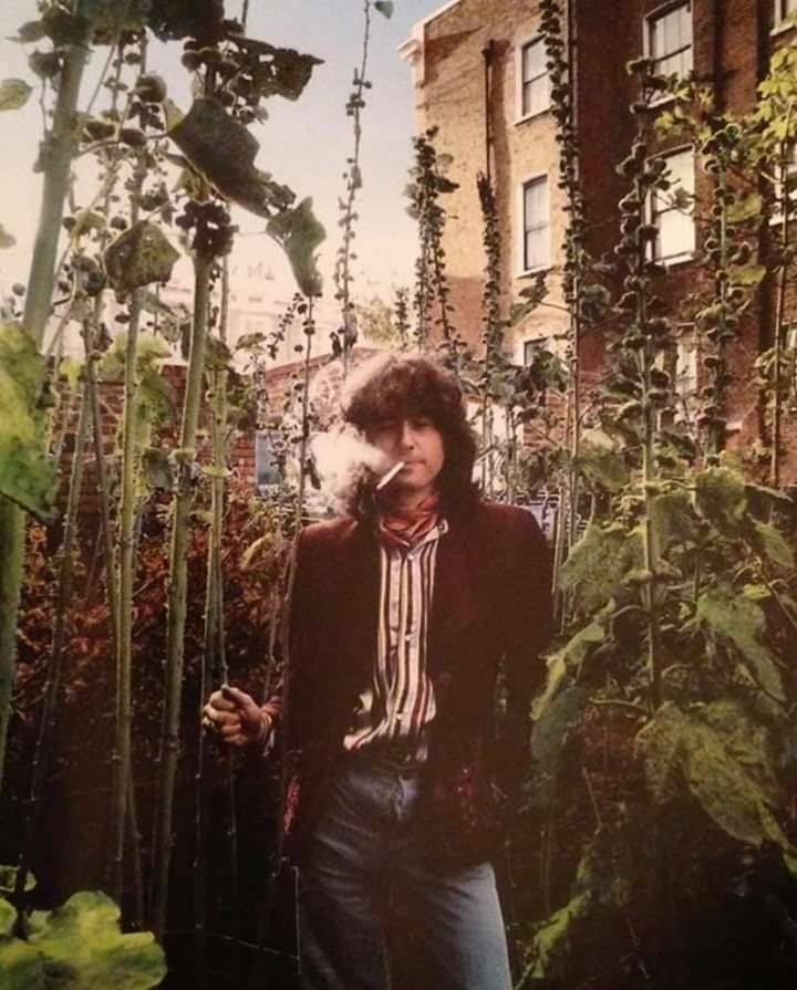 a man standing in front of some plants