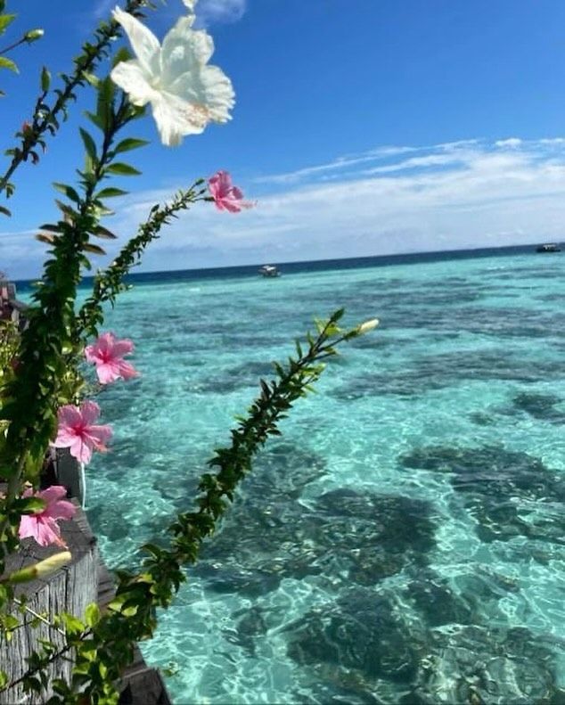 the water is crystal blue and clear with pink flowers