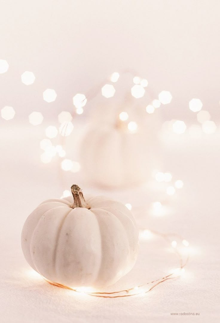 a white pumpkin sitting on top of a table next to a string of christmas lights