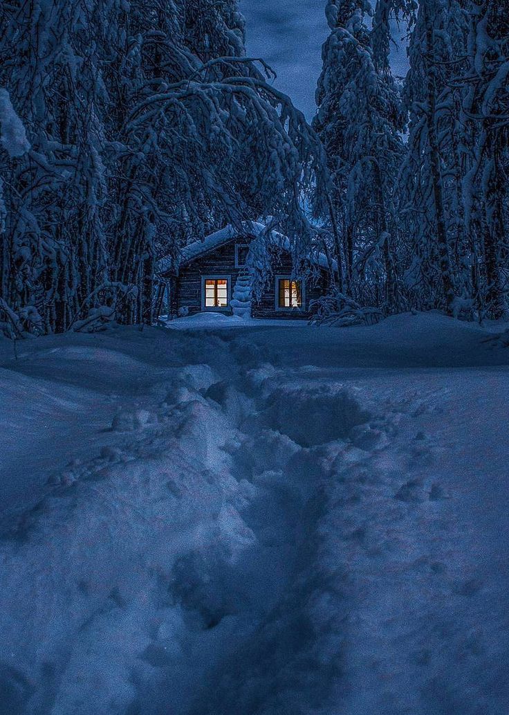 a cabin in the woods at night with snow on the ground and trees around it