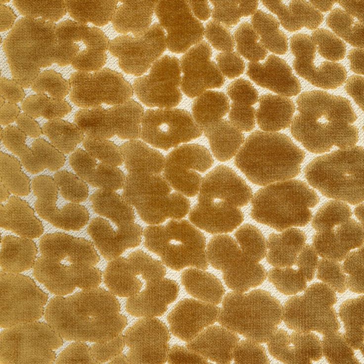 an animal skin texture with circles and spots