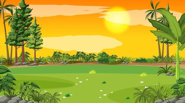 an illustration of a beautiful sunset in the jungle with palm trees and rocks on the ground