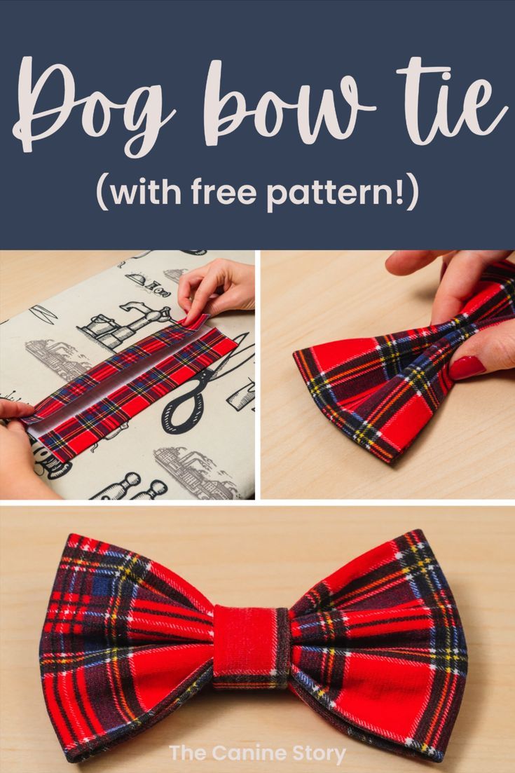 A selection of x3 photos showing a tartan bow tie in each stage of being made. Text reads Dog Bow Tie - with free pattern! Diy Dog Bow Tie, Dog Bow Tie Diy, Dog Bow Tie Pattern, Bow Tie Tutorial, Dog Bandana Pattern, Dog Sewing Patterns, Dog Poo, Diy Dog Collar, Walker Bag