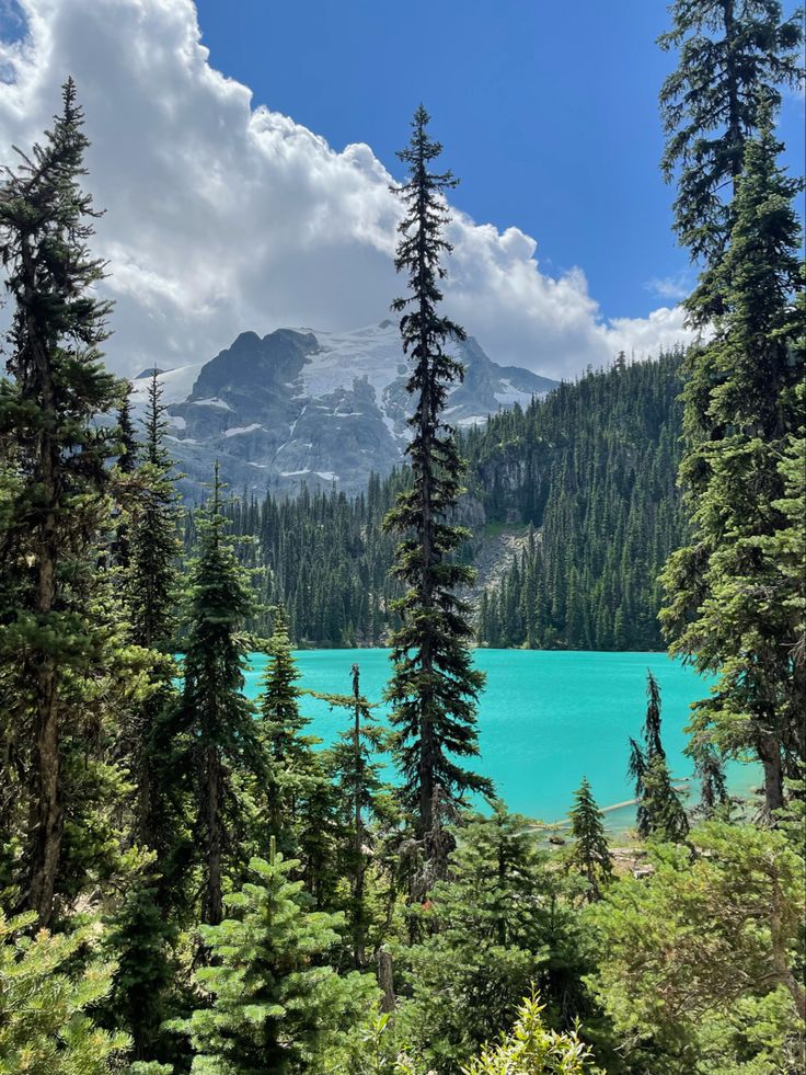 a lake surrounded by trees and mountains under a blue sky with clouds in the background