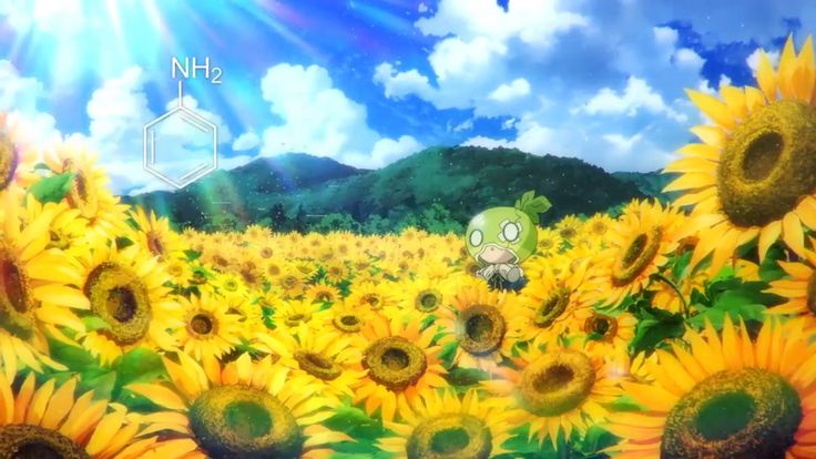 the sunflowers are blooming in front of a blue sky