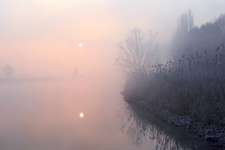 a foggy river with the sun setting in the distance