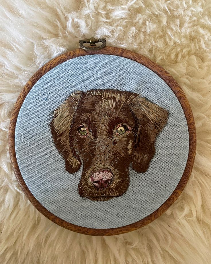 a close up of a dog's face in a hoop on a furry surface