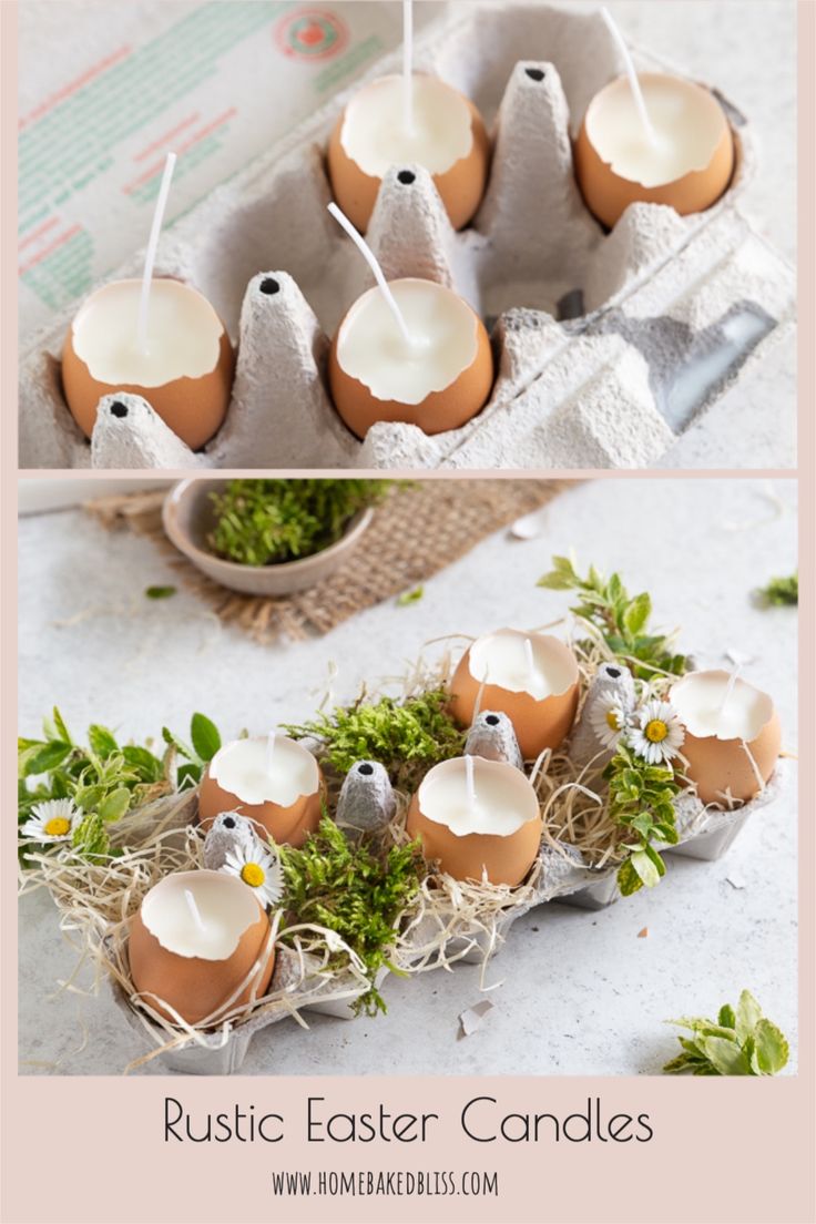 an egg carton filled with eggs sitting on top of grass and surrounded by little birds