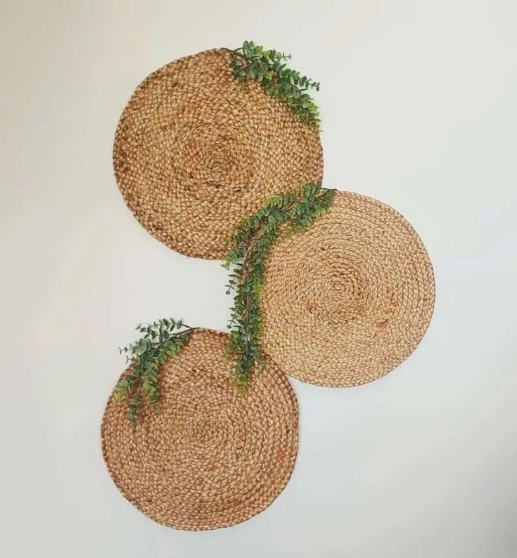 three woven placemats with green plants on them are arranged in the shape of circles