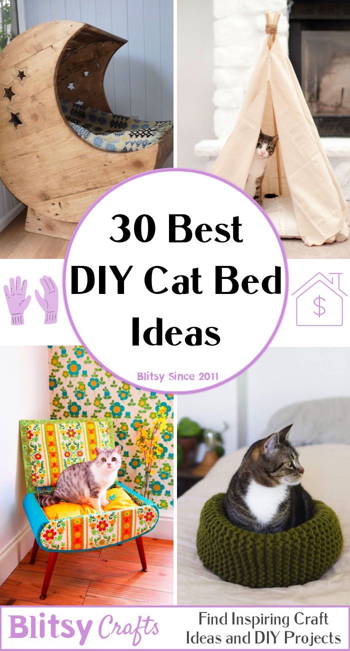 the top 10 best diy cat bed ideas